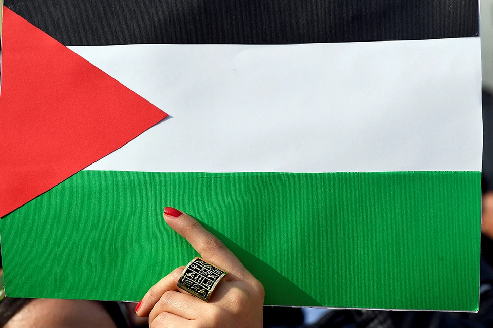 В Палестине приняло присягу новое правительство0