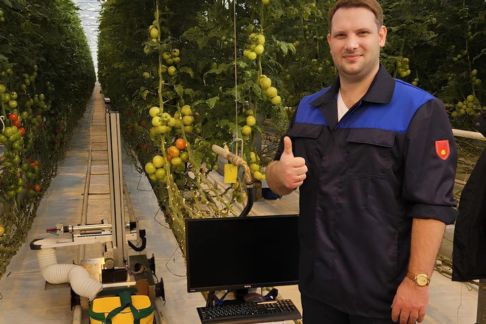 В СКФУ рассказали подробности о представленном президенту РФ роботе для сборки урожая в теплицах0