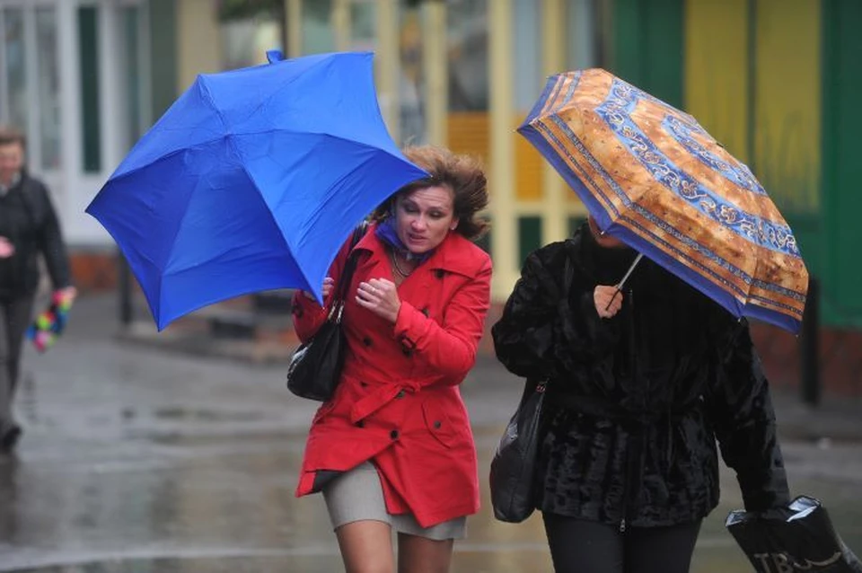 Дождь с градом и шквалистый ветер ожидаются в Ставропольском крае0