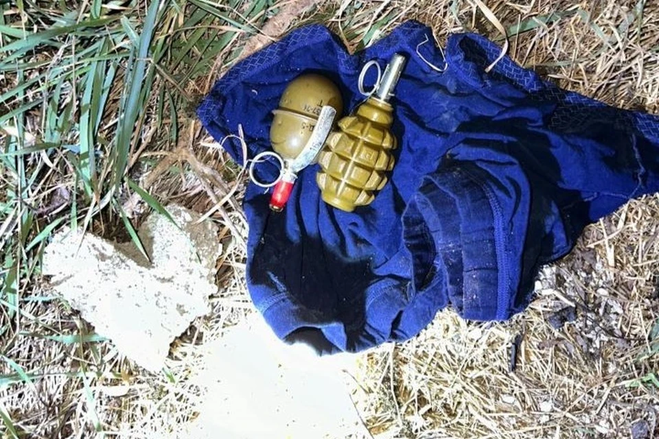 Две гранаты нашли в поле в Предгорном округе Ставрополья0