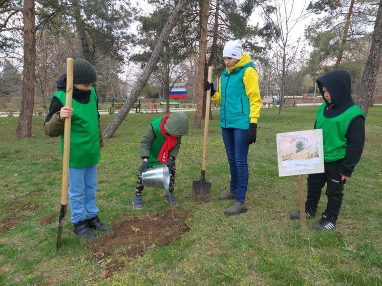 К акции «Сад памяти» присоединились еще три территории Ставрополья