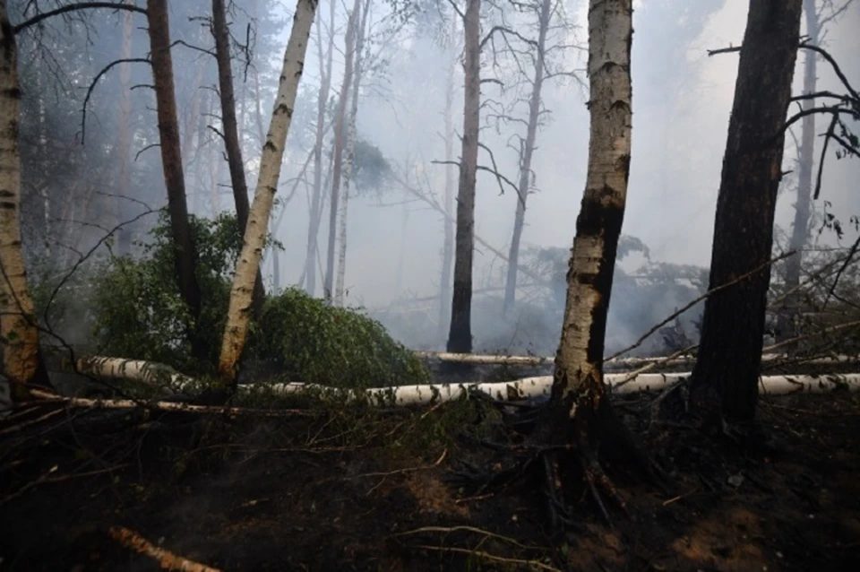 Пожароопасный сезон введен в Ставропольском крае с 1 апреля до 1 ноября0
