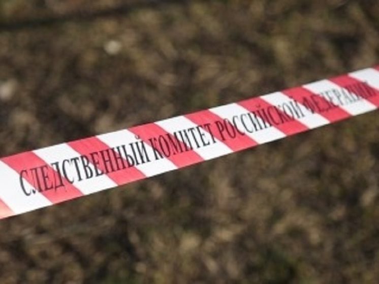 Следователи Ингушетии проводят проверку нападения 8-летнего мальчика на сестру