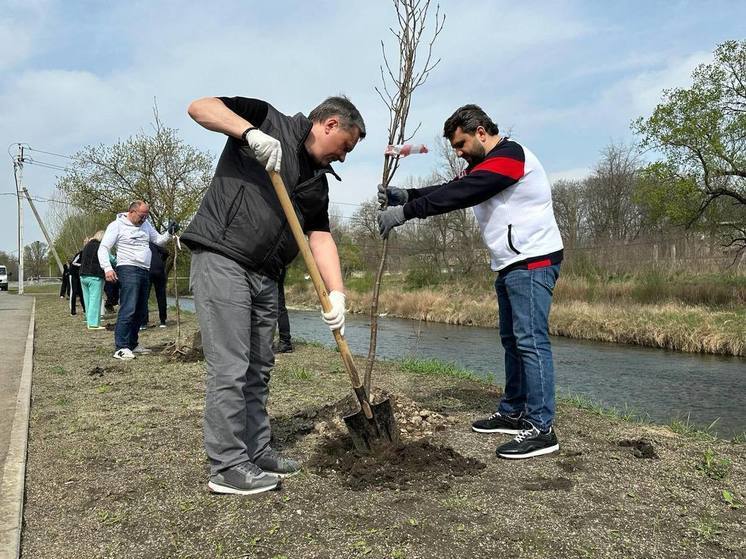 В Пятигорске высадили более 700 саженцев деревьев