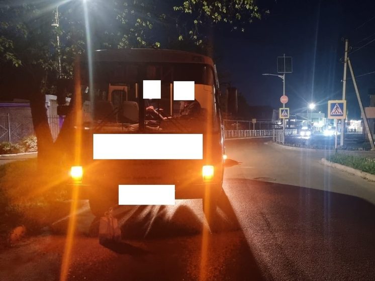Водитель автобуса в Изобильном чуть не переехал пенсионерку на пешеходной зебре