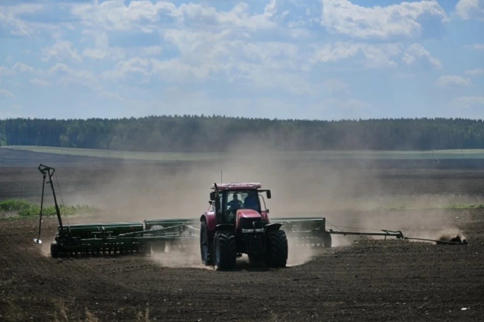 Глава Ставрополья поручил помочь сельхозпредприятиям в связи с засухой0