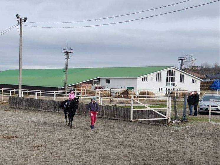 Глава Железноводска готов взять на реабилитацию голодающих на конезаводе лошадей