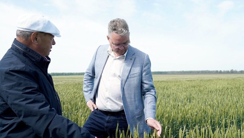 Губернатор Ставрополья осмотрел посевы опытных образцов пшеницы