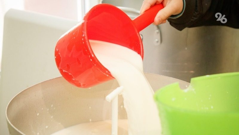 Объём производства молока в Шпаковском округе вырос на 134%