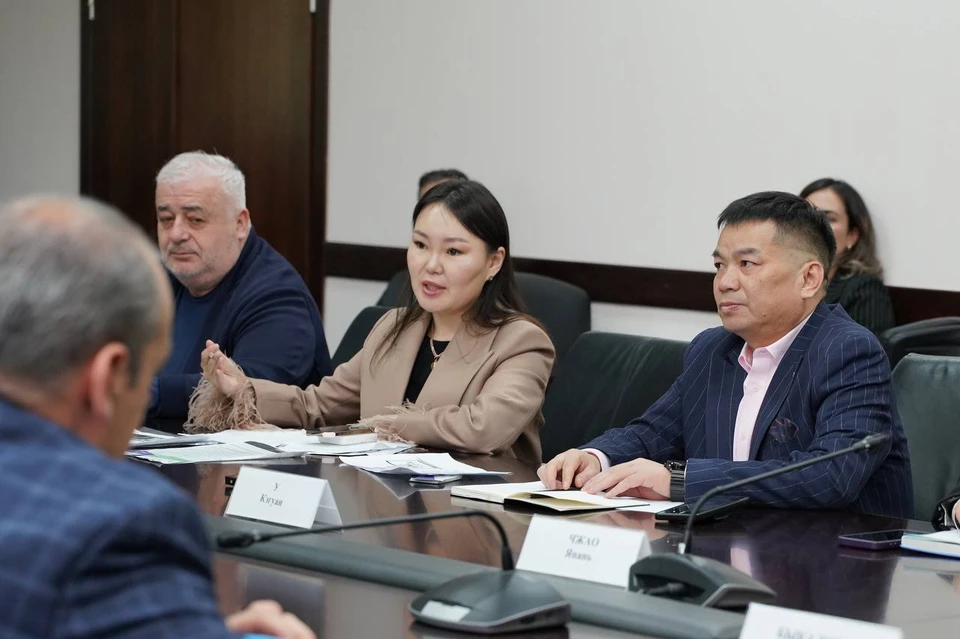Северная Осетия рассматривает возможность совместного с Китаем производства автомобилей0
