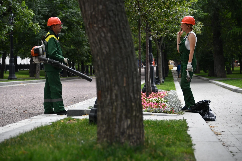 Ставрополь стал одним из лидеров городов России по благоустройству и озеленению0