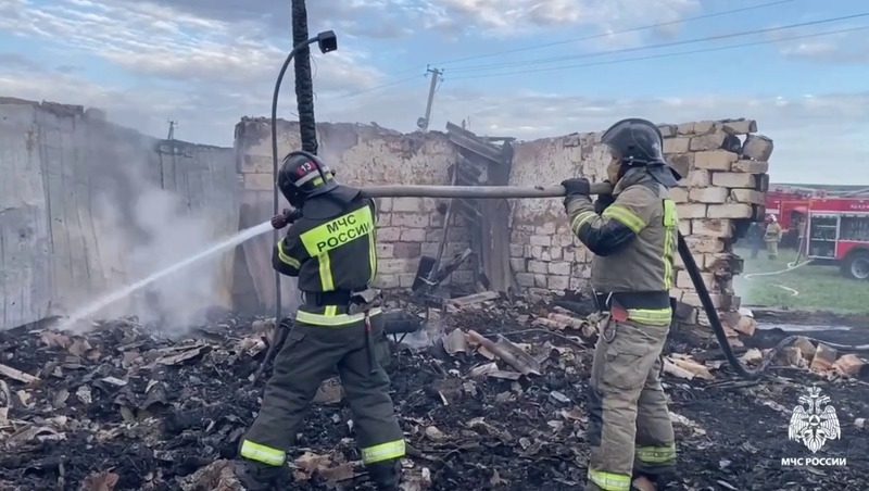 Три телёнка погибли во время пожара на кошаре в Шпаковском округе