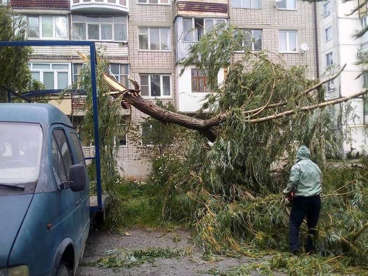 В Черкесске шквалистый ветер повалил деревья и повредил линии электропередач