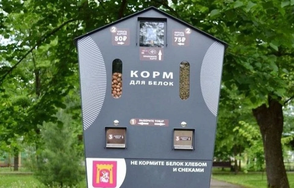 В Георгиевском парке появились автоматы с орехами для белок0