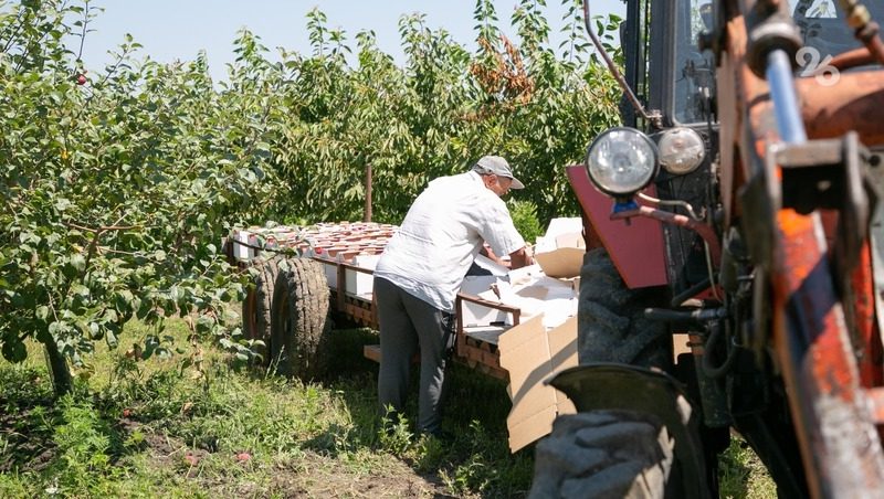 В Минсельхоз РФ направлена инициатива о поддержке садоводов страны