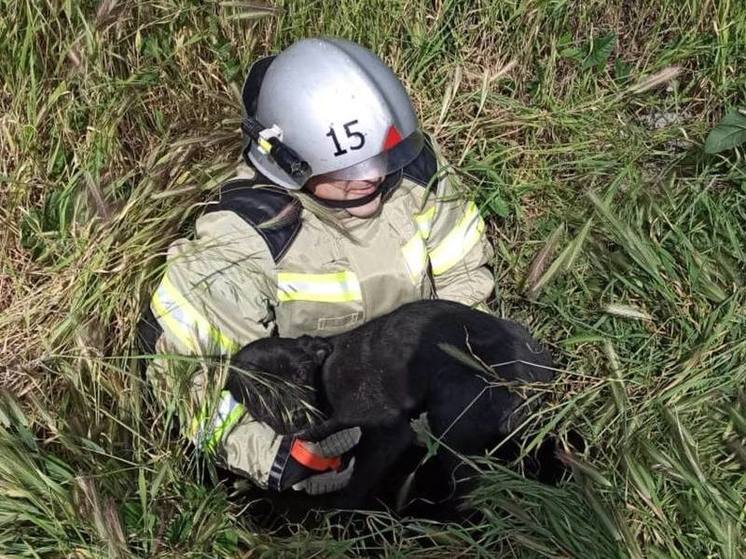 В Моздоке пожарные спасли собаку из глубокого колодца