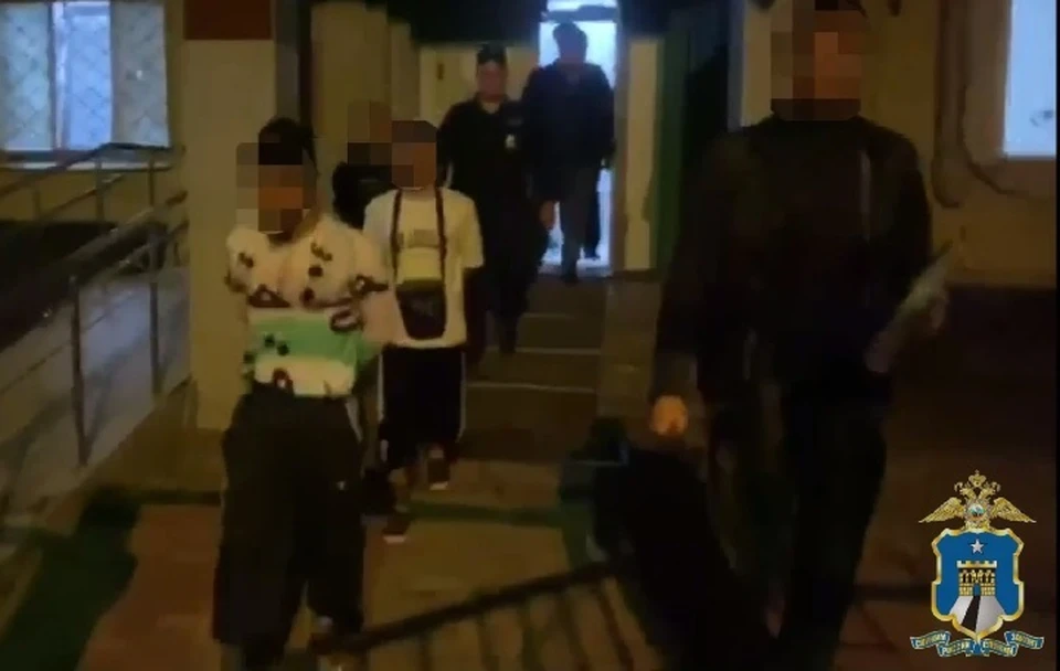 В Ставрополе арестовали еще троих участников драки в парке Победы0