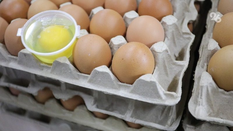 Задачу предотвратить рост цен на яйца поставил губернатор Ставрополья