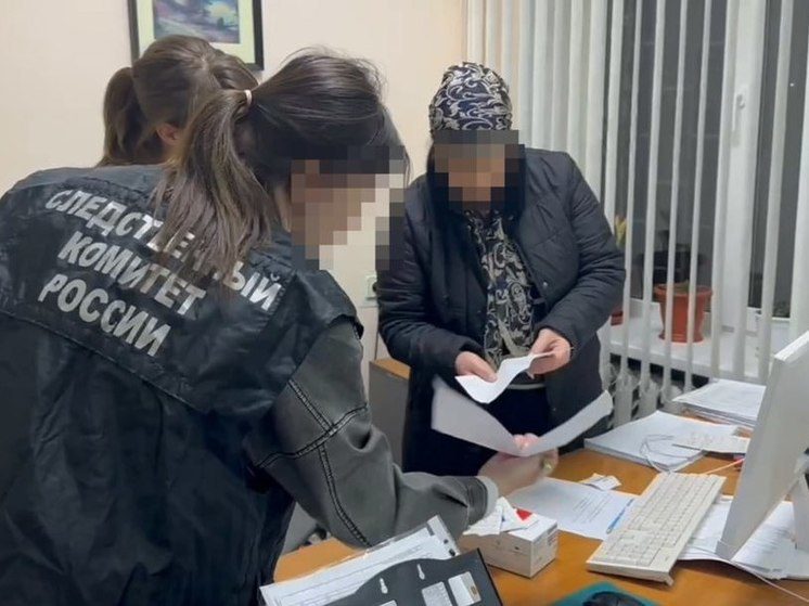 Жительницу Карачаево-Черкесии осудят за порчу бюллетеней зеленкой во время выборов