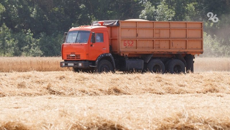 Аграрии Ипатовского округа задействуют около 500 комбайнов для жатвы