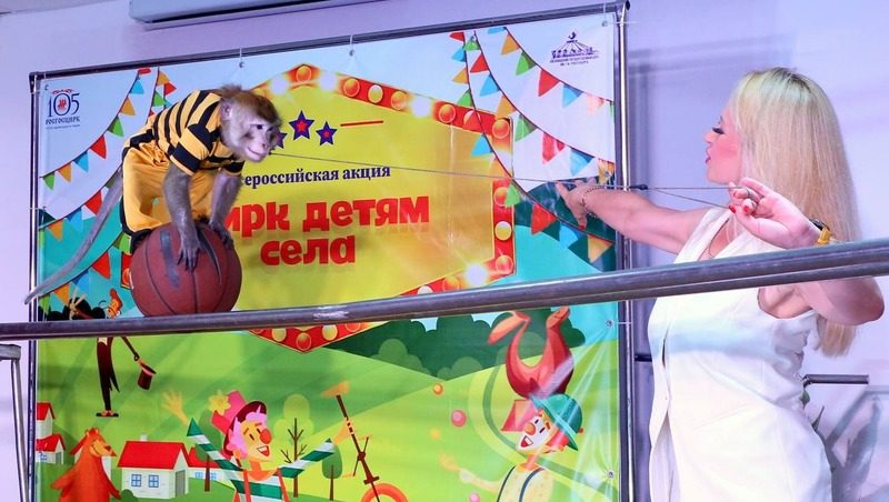 Акция «Цирк — детям села» прошла на Ставрополье