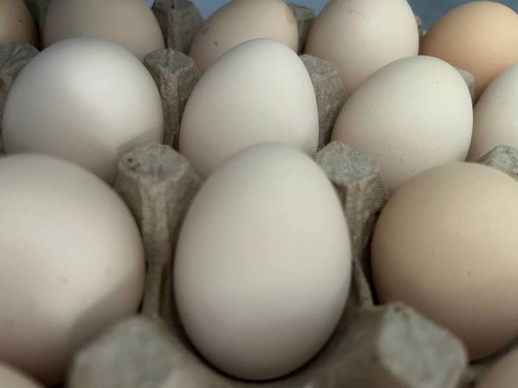 Цены на яйца на Ставрополье снизились на 18% с начала года