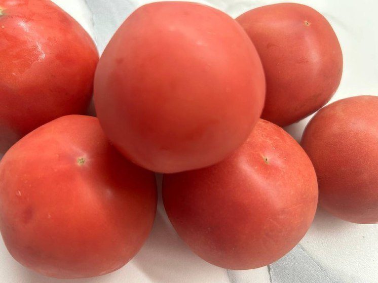 Цены на помидоры снизились на 24% на Ставрополье