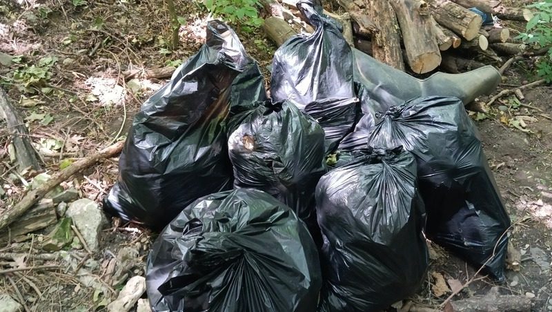 Экоактивисты столкнулись с проблемой вывоза мусора после субботников