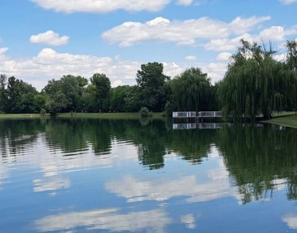 Городское озеро Георгиевска на Ставрополье закрыли для купания0