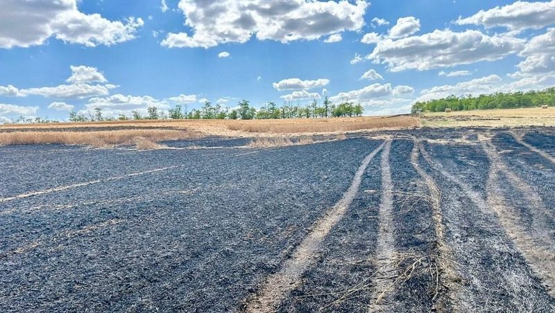 Из-за возгорания сухой травы на Ставрополье сгорели 1,5 гектара пшеницы