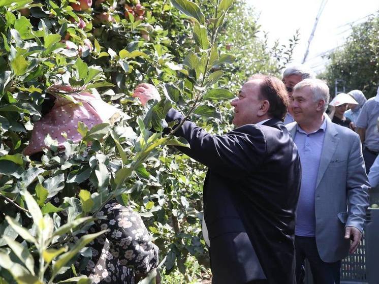 По словам главы Ингушетии, в регионе активно готовят кадры для сельскохозяйственной отрасли.