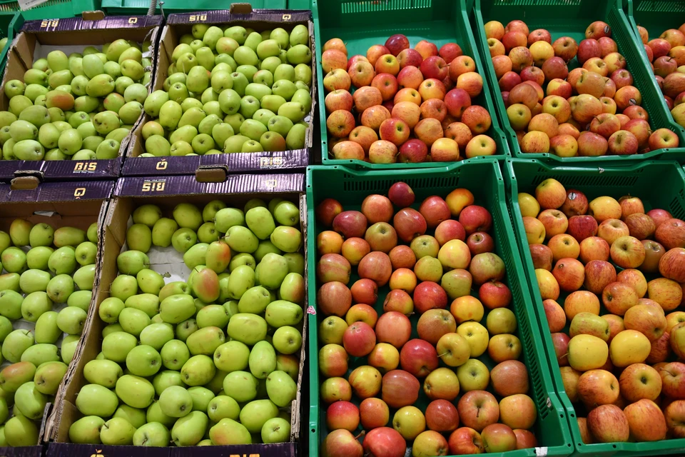 КБР с начала года поставила в регионы России более 50 тысяч тонн яблок0