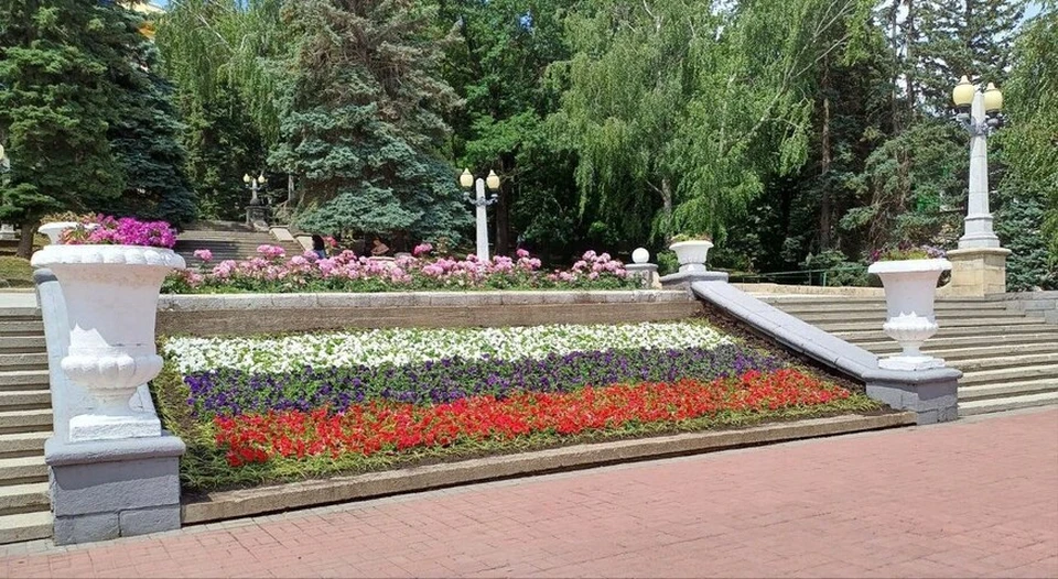 Клумбы Ставрополя окрасились в цвет российского триколора0