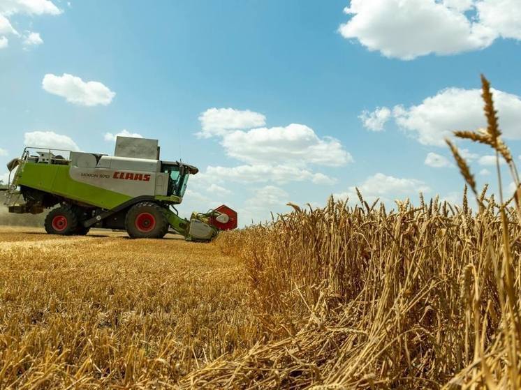 На Ставрополье стартует кампания по уборке зерновых культур