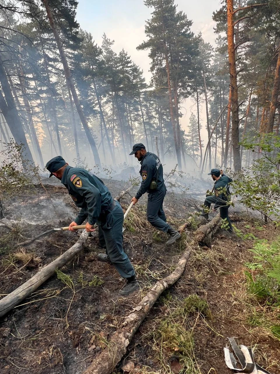 Несколько суток горит лес в Ботлихском районе Дагестана0
