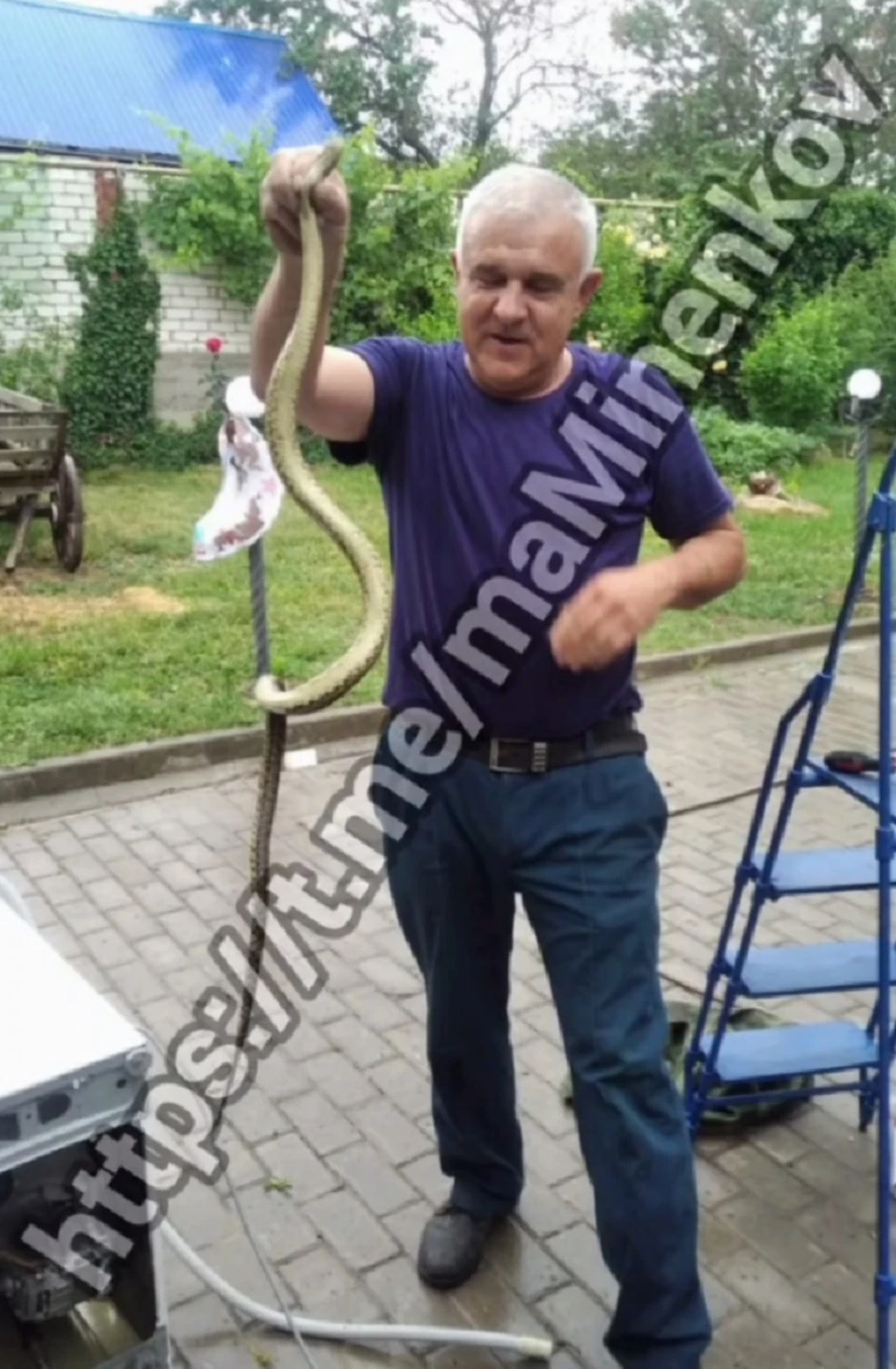 Огромная змея заползла в гараж жителя Невинномысска0