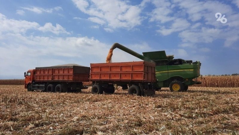 Первый миллион тонн зерна собрали аграрии Ставрополья