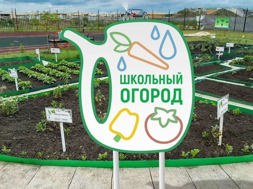 Первый пришкольный огород появился в Железноводске0