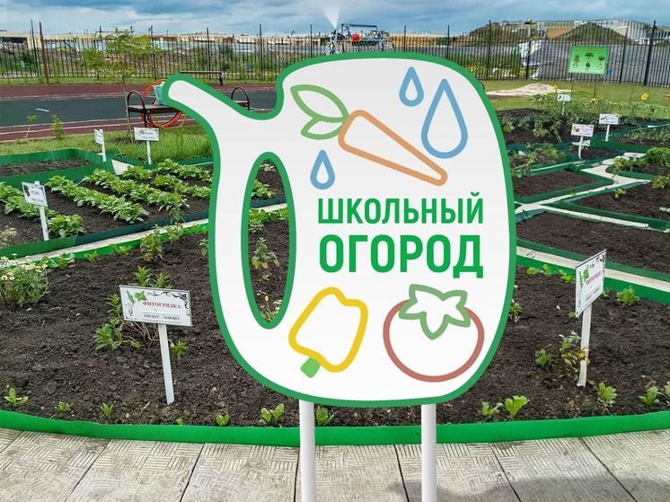 Первый школьный огород появился в Железноводске