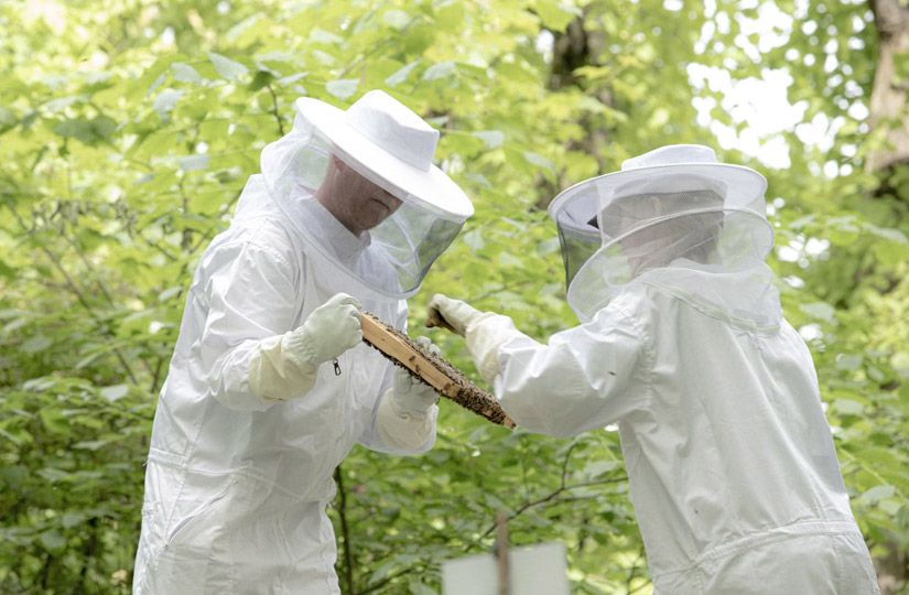 Почему майский мёд быстро кристаллизуется и как проверить его качество1