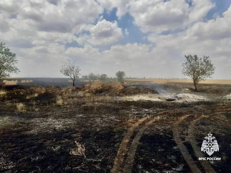 Пожар уничтожил 50 гектаров пшеницы на Ставрополье0