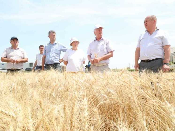 Председатель Думы посетил Левокумский округ, где аграрии первыми начали жатву