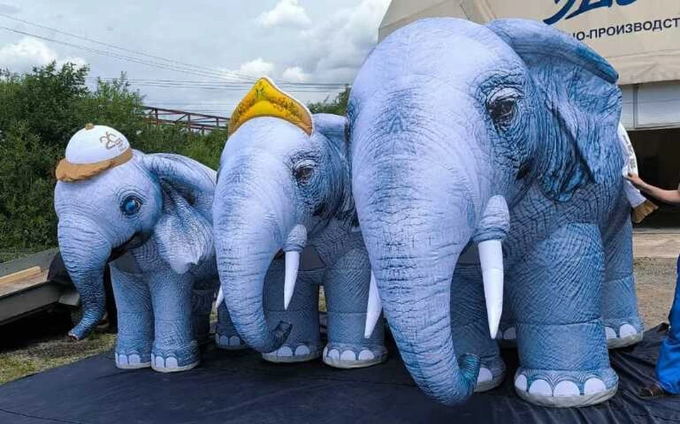 Семья южных слонов представит Ставрополье на международной выставке0