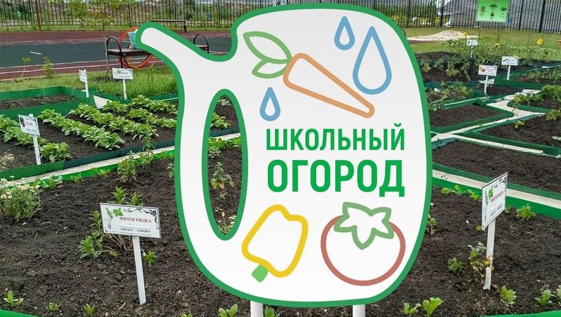 Школьники Железноводска сами будут выращивать для себя овощи