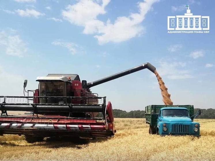 В Кабардино-Балкарии стартовала уборка зерновых