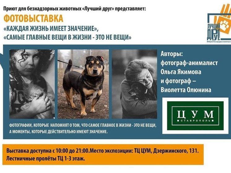 В Ставрополе работает фотовыставка животных приюта «Лучший друг»