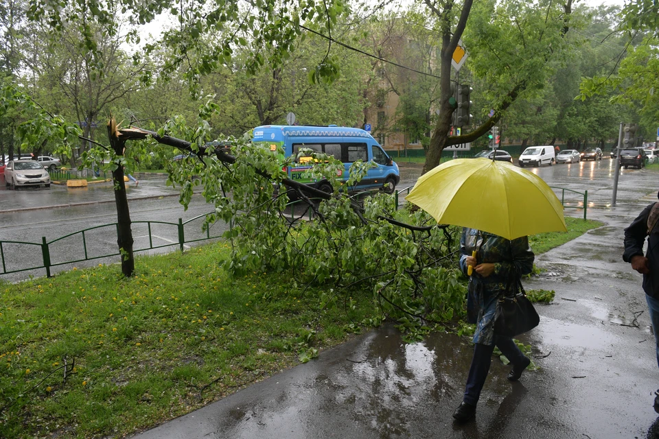 На Ставрополье 21 июля ожидается жара до +42 и ливни с градом0