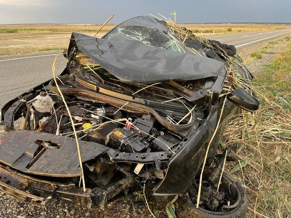 На Ставрополье лихач попал в аварию из-за овцы на дороге0