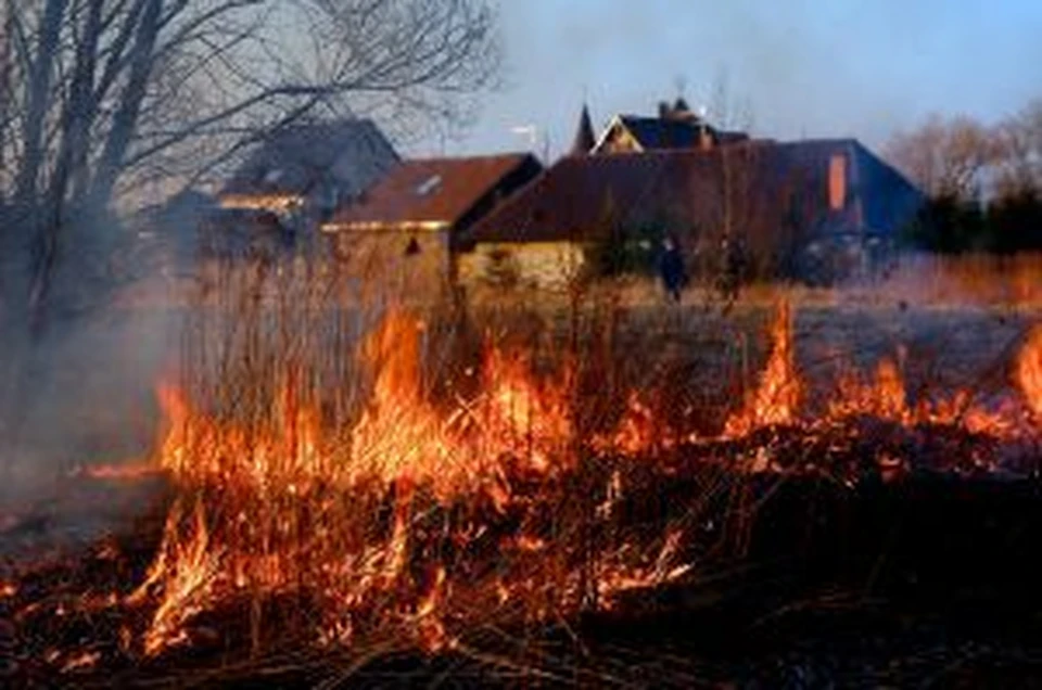 На Ставрополье продлили чрезвычайную пожароопасность до 13 июля0