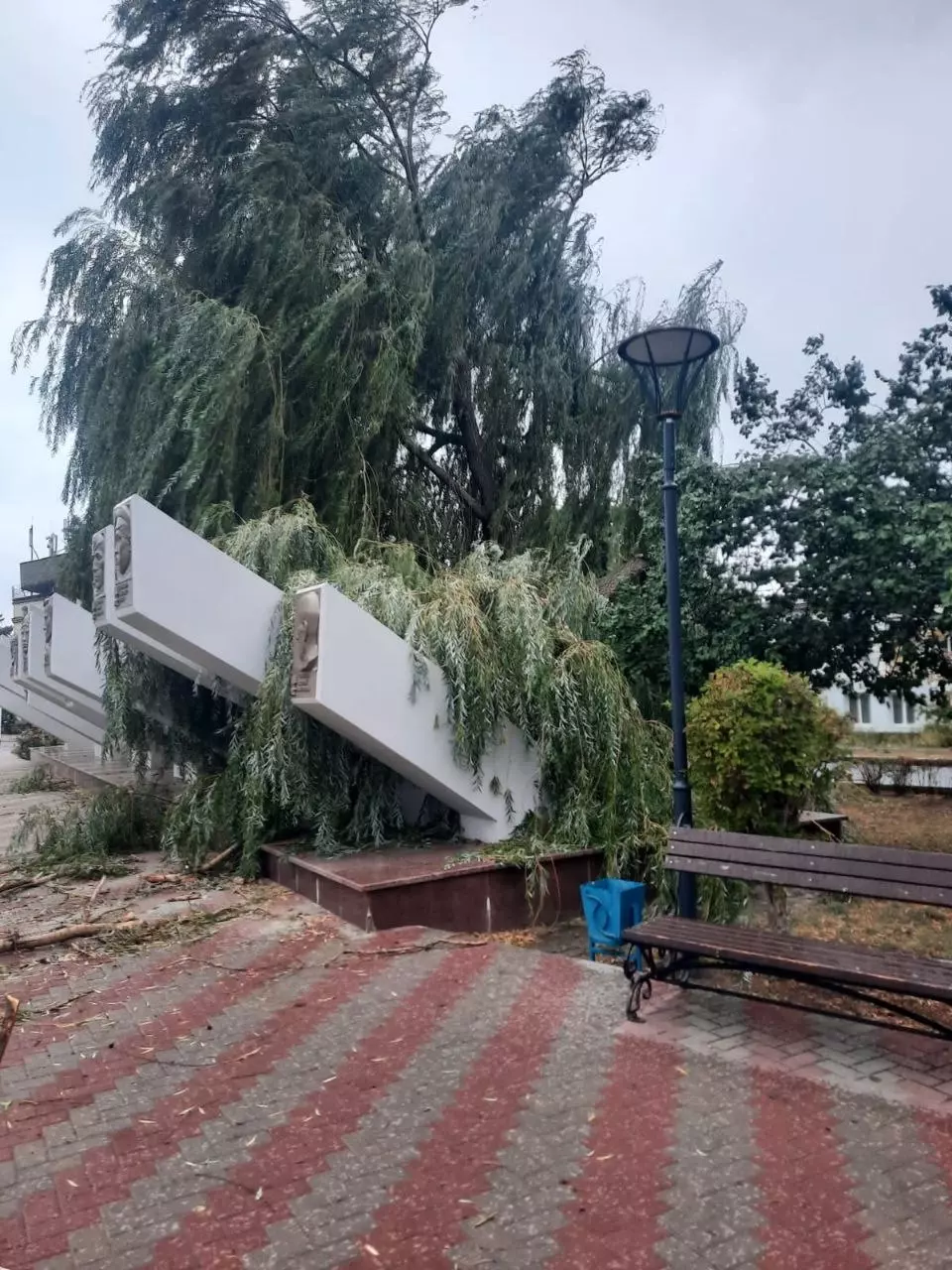 Огромная ветка рухнула на мемориал в Светлограде1